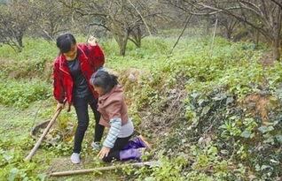 我的三十八岁植物人女友,守护爱与希望的永恒守候