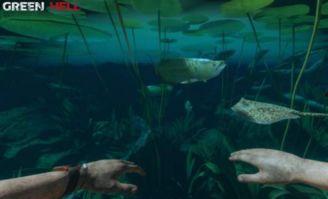 绿色地狱,探寻神秘生态奇观