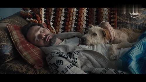 爱犬莫福,忠诚犬伴的温馨故事